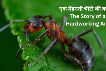 एक मेहनती चींटी की कहानी | story of ant in hindi