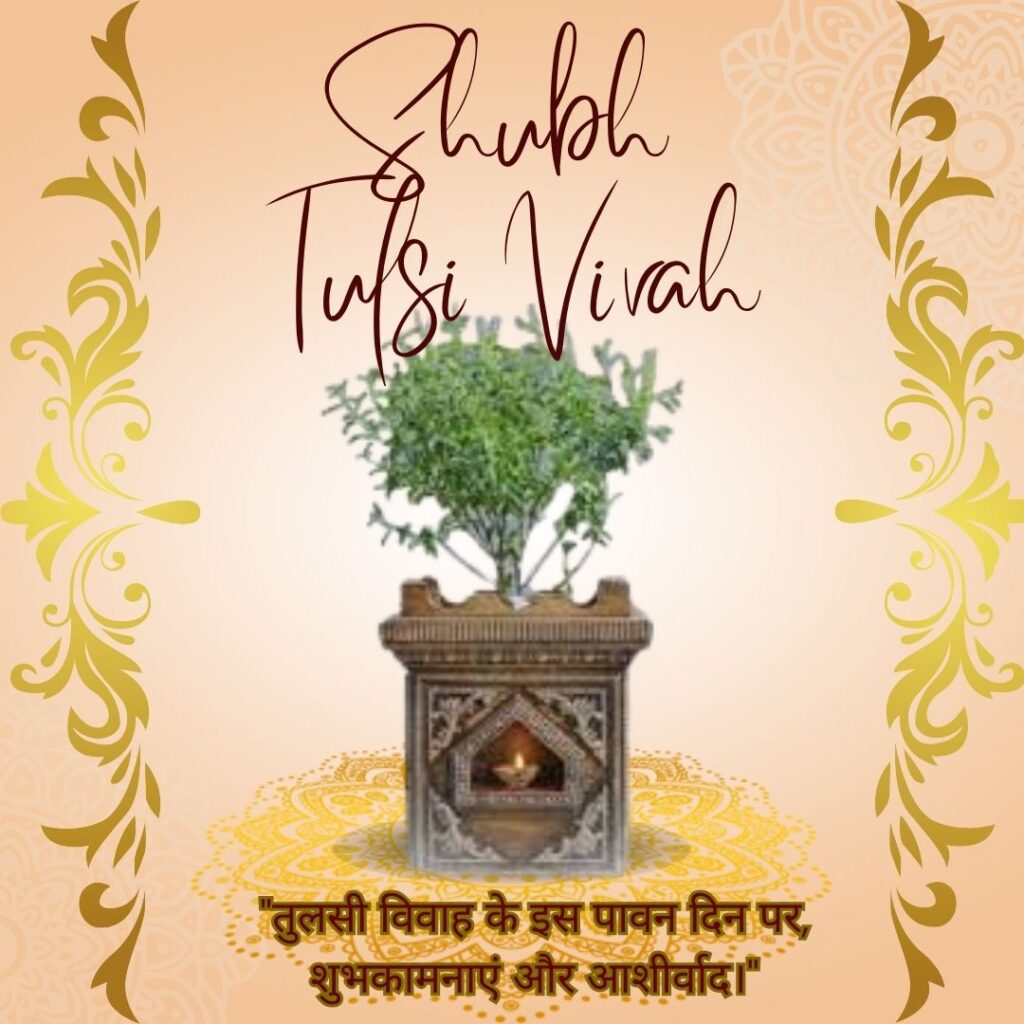 "Shubh Tulsi Vivah- तुलसी विवाह के इस पावन दिन पर, शुभकामनाएं और आशीर्वाद।"