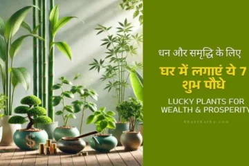 lucky-plants-for-wealth